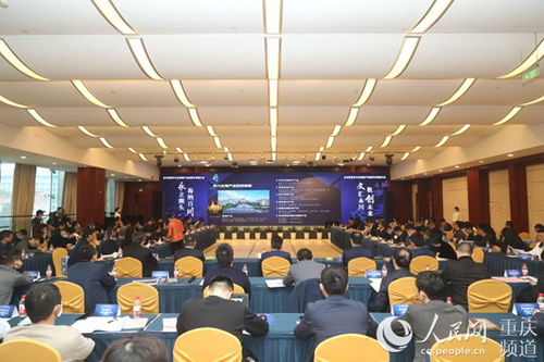 全国百家数字文创企业齐聚永川，共绘数字文化创意软件开发新蓝图